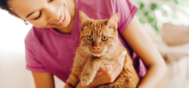 A woman smiling and looking down at her ginger cat.