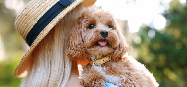 A blonde woman hugging a dog.