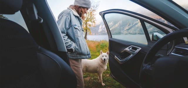 A woman and a dog stood outside of a car by a mountainous area.