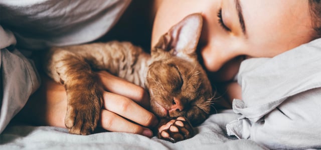 A woman napping and cuddling her brown cat.