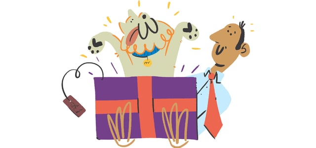 illustration of hachi jumping out of gift box