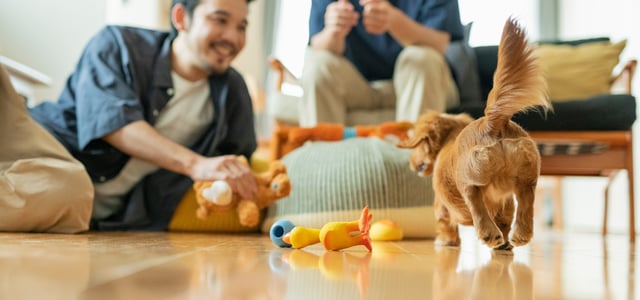 A puppy trotting over to a man laying on the floor playing with toys.