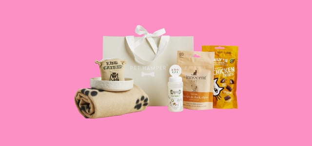 A pet gift hamper on a pink background.