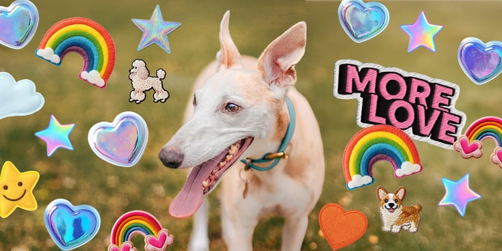 Reggie the sighthound with stickers placed on top of the image.