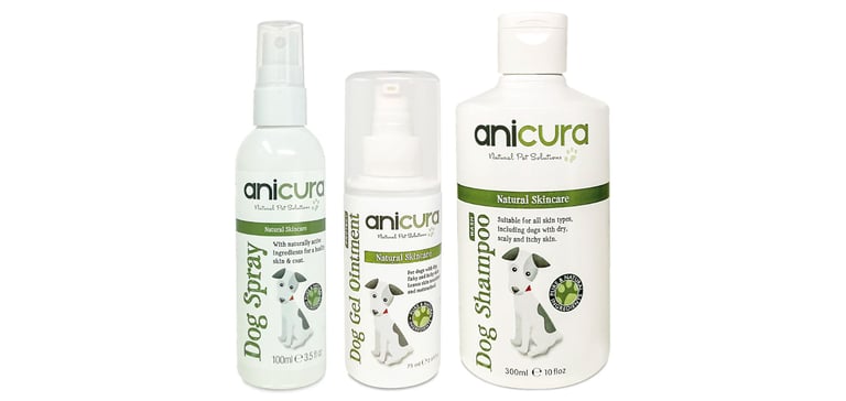 Jack Russel Anicura promo image