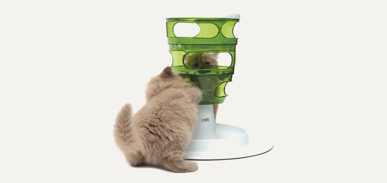 Promo image of a cat playing with a food tree.