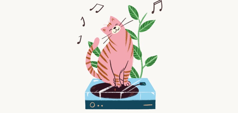 A pink cat sitting on a record player.