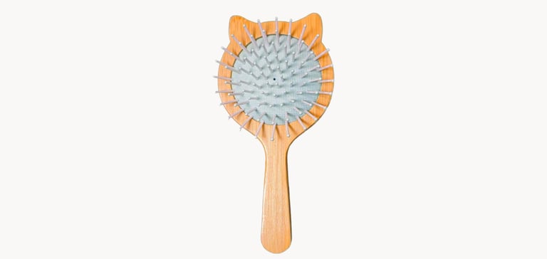 cat brush