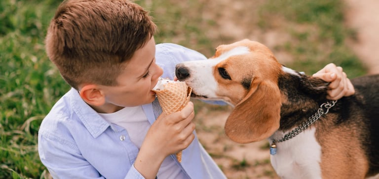 A beagle sharing an ice cream with a young boy.