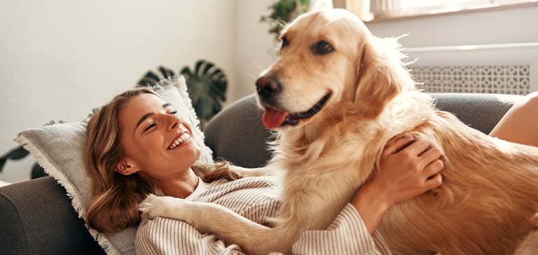 A woman with a golden retriever laying on top of her.