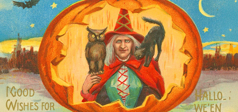 drwaing of witch with black cat and owl