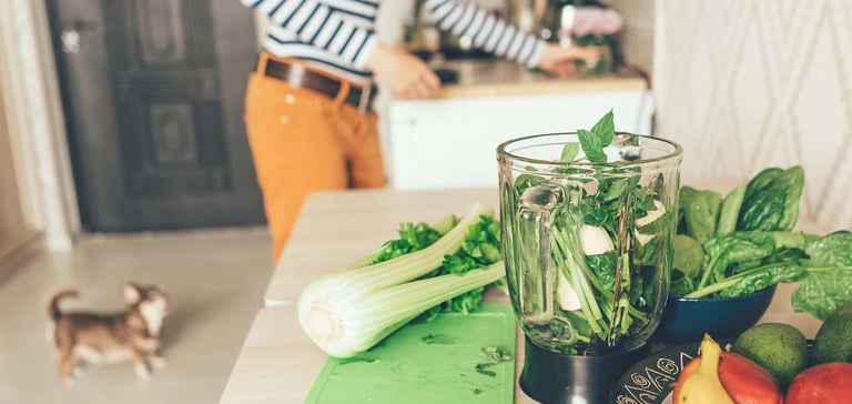 owner and dog stood in kitchen next to blender full of leafy greens and celery