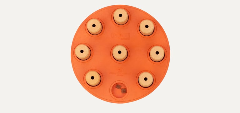 A dog toy shaped like an orange circle.