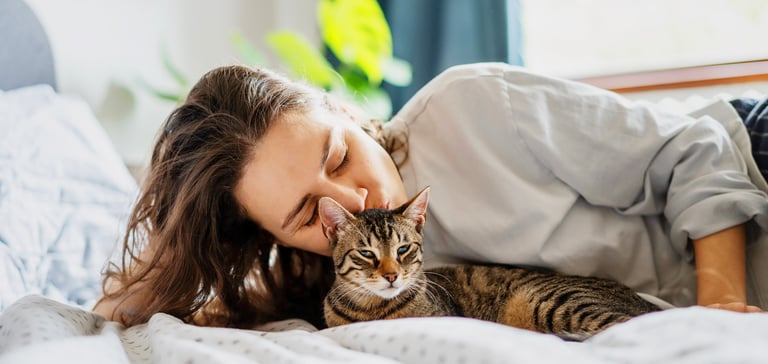 tabby cat lying on bed with owner