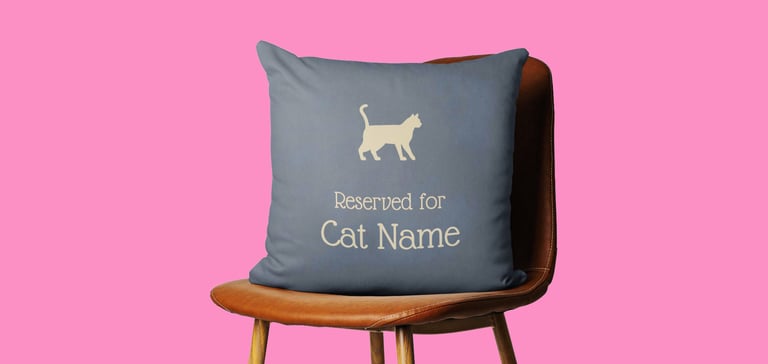 A promo image of a cushion.