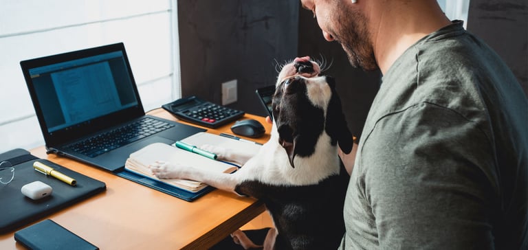 a dog on its owners lap at a desk