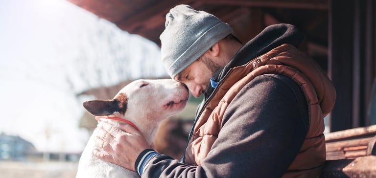 A man and a Bull Terrier with their heads together.