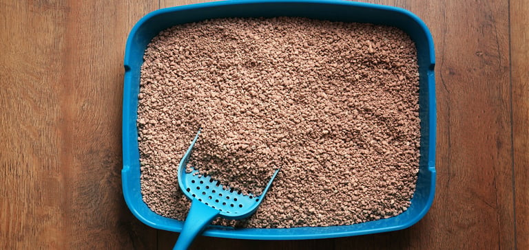 close up image of blue litter box