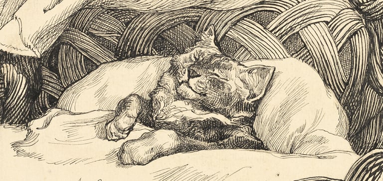 an old painting of a cat in a basket