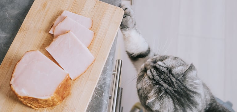 a cheeky cat trying to swipe some ham from a worktop chopping board