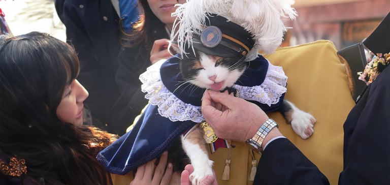 tama at a ceremony being held and stroked