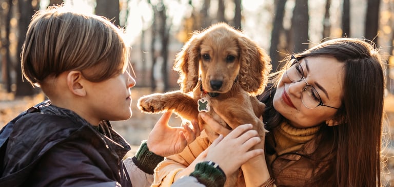 Two children holding a golden Cocker Spaniel puppy