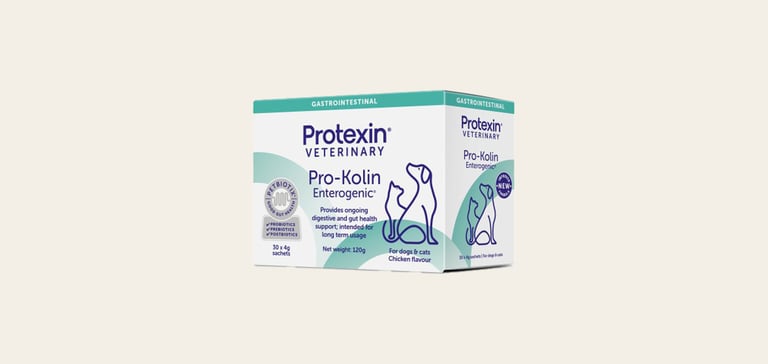 Protexin veterinary gastro probiotic promo image.