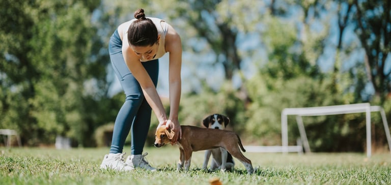 Owner with two puppies on the grass outside