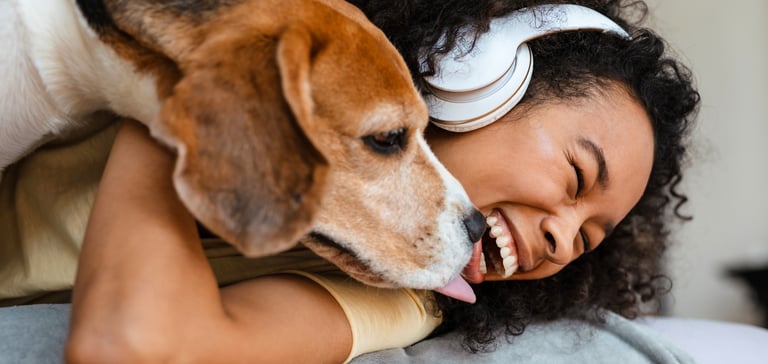 A woman laughing and holding her beagle.