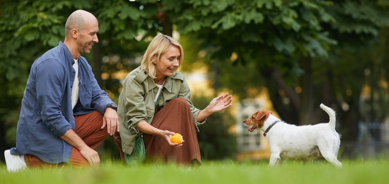 A couple playing outdoors with their Jack Russell.