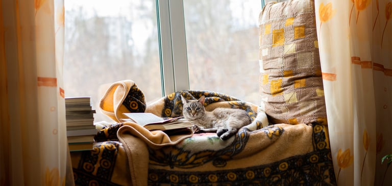 A cat snuggled into a nook by a window.