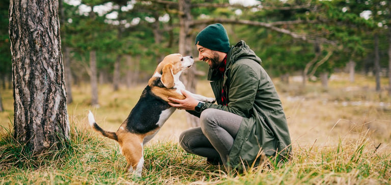 A man crouching down to his beagle.