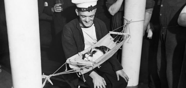 A sailor sitting next to a cat in a hammock.