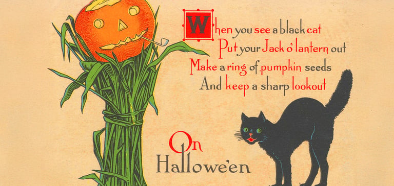 pumpkin and black cat