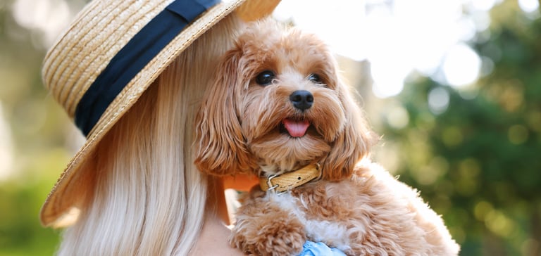 A blonde woman hugging a dog.