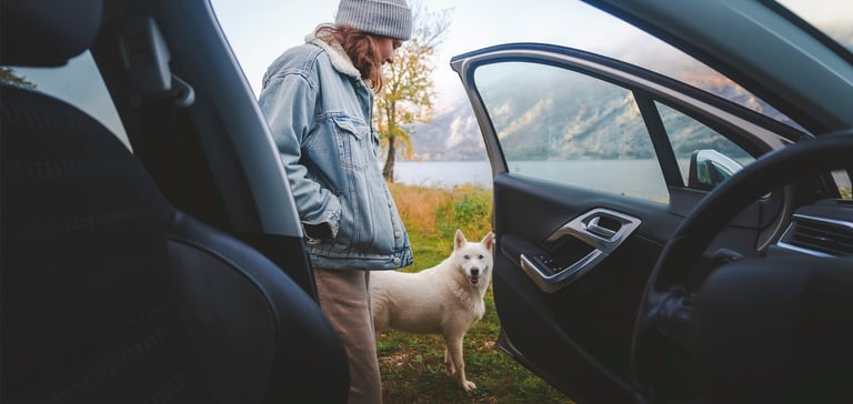 A woman and a dog stood outside of a car by a mountainous area.