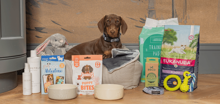 A dog surrounded by different food bowls toys and treats