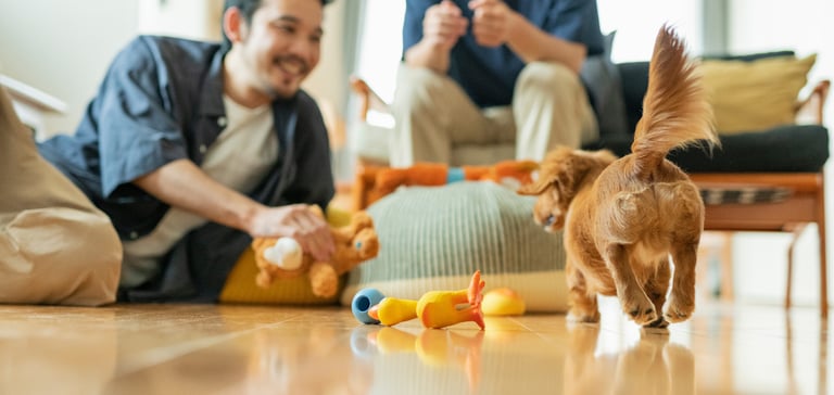 A puppy trotting over to a man laying on the floor playing with toys.