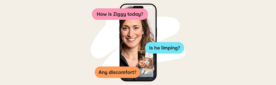 Placeholder alt texts