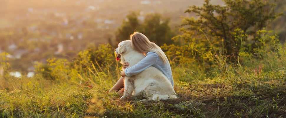 Owner hugging a Golden Retriever sitting at the top of a hill looking at a view