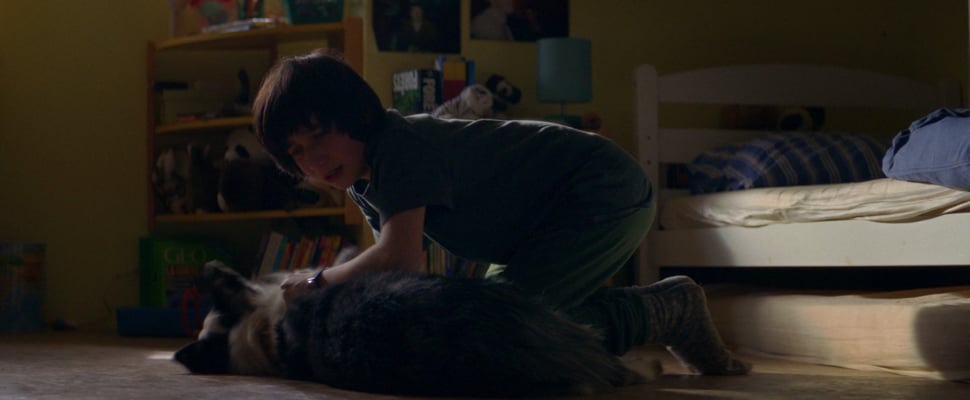 Daniel kneeling over an unwell Snoop.