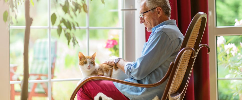 A cat sat on the lap of an elderly man in a rattan chair.