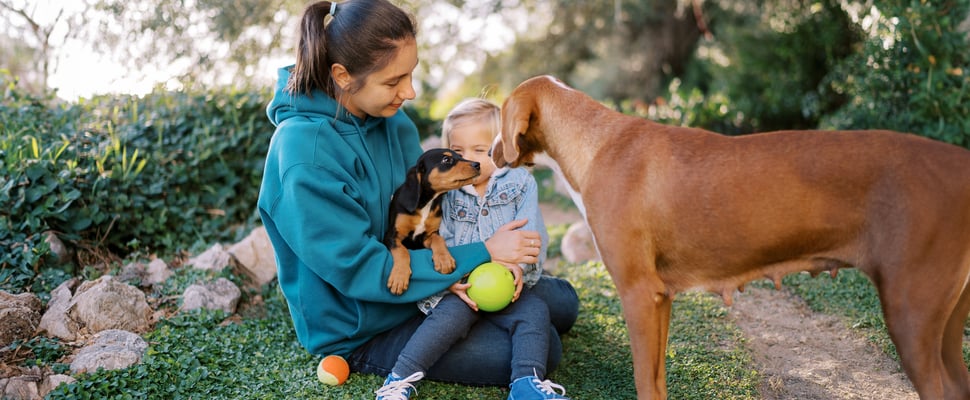 Owner and child with puppy introducing it to an older dog outside