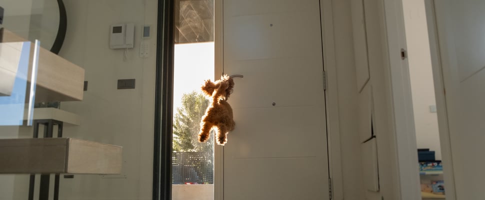 A Cockapoo jumping to bite a door handle.