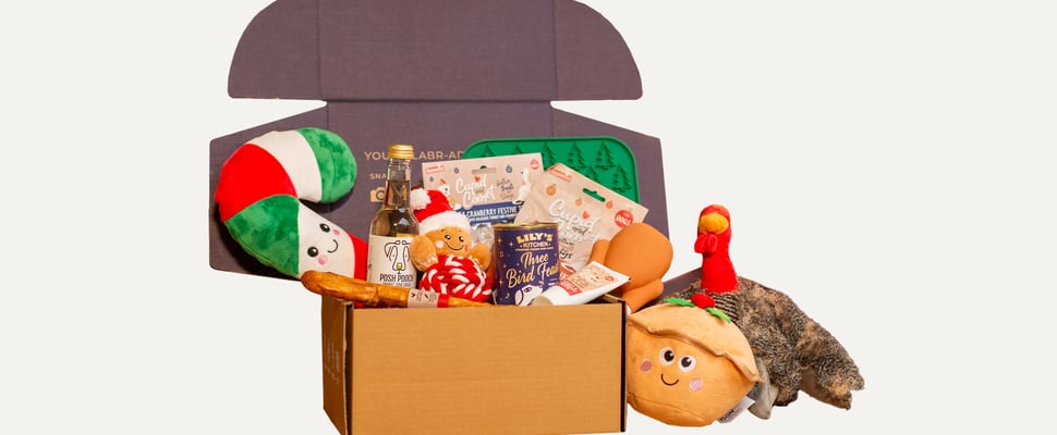A promo image for a dog gift basket with toys and food in.