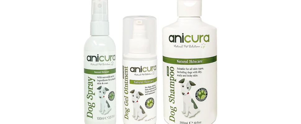 Jack Russel Anicura promo image