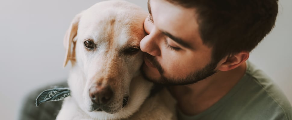 A man snuggling up to his labrador.