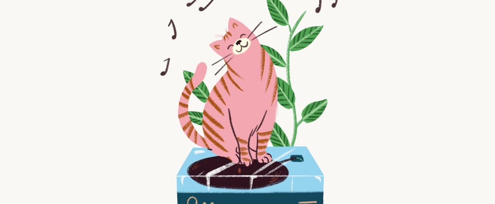 A pink cat sitting on a record player.