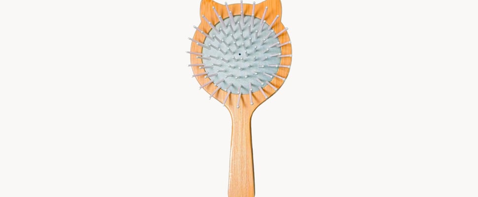 cat brush