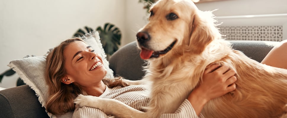A woman with a golden retriever laying on top of her.